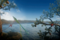 unravel-origin-443107.4